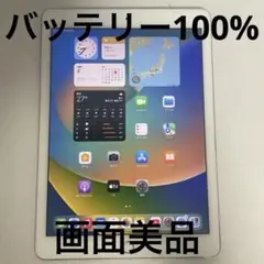 iPad Pro 9.7インチ 32GB Wi-Fi バッテリー最大容量100%