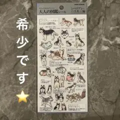 るるのぱぱ様 リクエスト 2点 まとめ商品