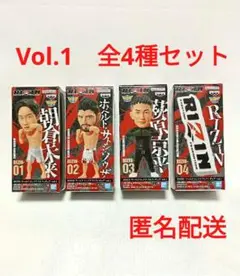 RIZIN フィギュアセット 4種 RIZIN】ワーコレ4種セット