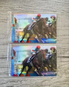 2025年最新】インディチャンプの人気アイテム - メルカリ