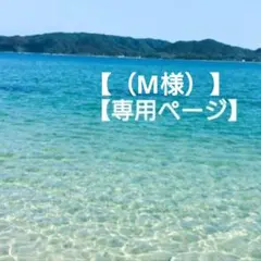 【（M様）専用ページ】 ウズガイ ３３個