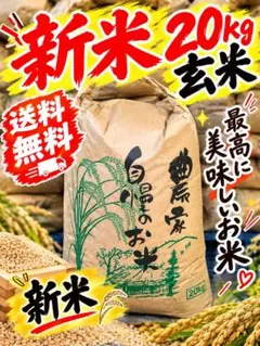 米 20kg 令和7年 静岡県産（無洗米） - メルカリ