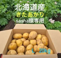 sasha様専用 北海道産 きたあかり（Lサイズ）20kg