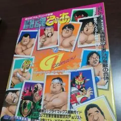 新日本プロレスパンフレット    6冊セット 2025年最新】新日本プロレスパンフレットの人気アイテム - メルカリ
