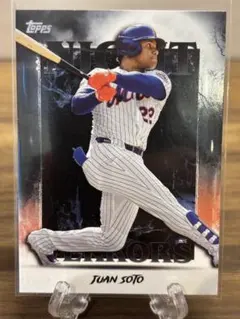 2026年最新】フアン・ソトの人気アイテム - メルカリ