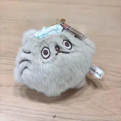 2026年最新】ぶーちゃんの人気アイテム - メルカリ