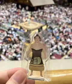大相撲　アクリルスタンド　関脇　藤ノ川