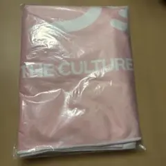 Item thumbnail for item 95d87700-d62c-472b-ba4e-eef51db90c3c