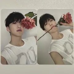 17 is right here Dear盤 ホシ トレカ ④