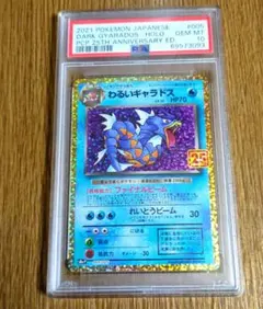 2026年最新】わるいギャラドス psa10の人気アイテム - メルカリ