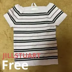 ジルスチュアート スクエアネックマルチボーダー半袖リブニット ピンクのサムネイル