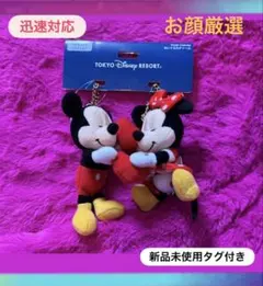 新品未使用♡ディズニーミッキー&ミニーぬいぐるみチャームセット