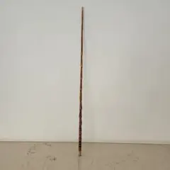 Item thumbnail for item 6210484c-483b-45f8-9bcb-556e0bff25e8