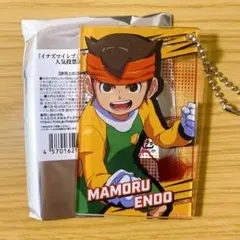 2026年最新】イナズマイレブン カード 円堂守の人気アイテム - メルカリ