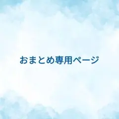 ちこ様　おまとめページ
