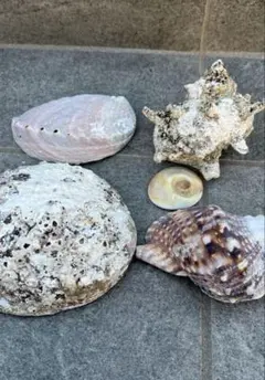 Toronto様専用　値段はあとで変更します