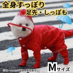 Item thumbnail for item c1134a99-ae2c-4bcb-a2ac-9255dc53f15d