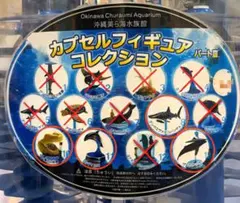 2026年最新】美ら海水族館 フィギュアの人気アイテム - メルカリ