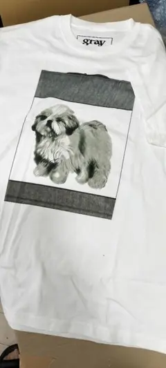 gray Tシャツ　Ｌ