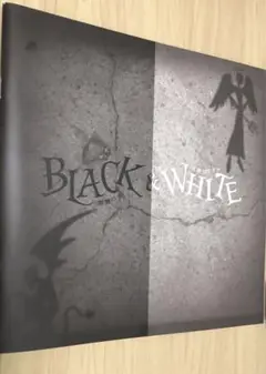 アミューズ BLACK & WHITE　パンフレット