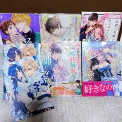 ヴァイス 優しいお姉ちゃん エミリア 予想外の切り替えし エミリア 4枚