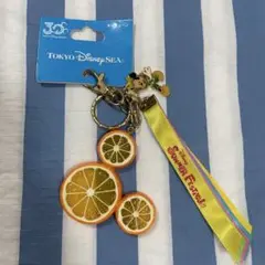 TDR/TDS 東京ディズニーシー サマーフェスティバル キーホルダー 30th