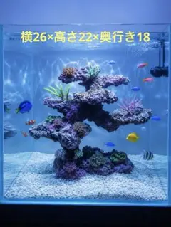 人工ライブロック　SG08 擬岩/30cm水槽〜/海水水槽/サンゴ水槽 人工ライブロック SG08 擬岩/30cm水槽〜/海水水槽/サンゴ水槽 - メルカリ