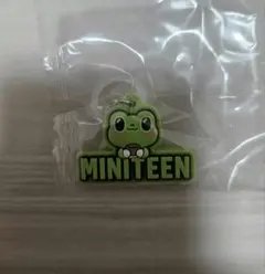 SEVENTEEN MINITEEN ぷっくり めじるし アクセサリー THE8