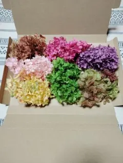 Item thumbnail for item e4d0c9ba-5b01-45f0-b819-b56db835bc0d