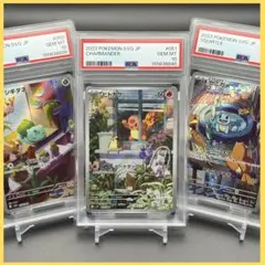 2026年最新】ゼニガメ ar スペシャルの人気アイテム - メルカリ