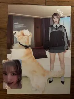 TWICE THIS IS FOR モモ