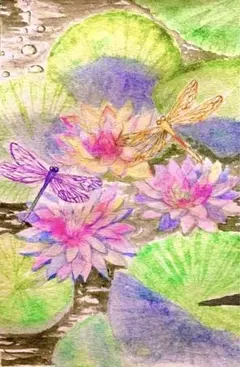 水彩画 睡蓮とトンボ　値段は700円です