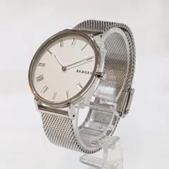 SKAGEN スカーゲン HALD 電池交換済 レディース 美品 シルバーのサムネイル