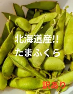 北海道産!新鮮枝豆「たまふくら」　　　　　　　　　 訳あり７００グラム