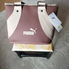 Item thumbnail for item ece80afb-b8bc-42e8-9651-d2ede90a579f