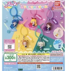 アイカツ！カラフルマルチチャーム 2개 세트