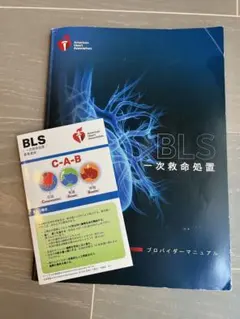 【美品】AHA BLSプロバイダーマニュアル 2020 一次救命処置 新品未使用] BLSプロバイダーマニュアル AHAガイドライン2020準拠