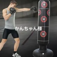 かんちゃん様　サンドバッグ