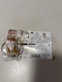 わんこのタイムカプセル　まめ