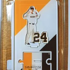 Item thumbnail for item 68271d2f-a850-4fd5-a532-de32c8e33876