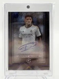 Item thumbnail for item 70c201ad-6311-42fc-abc2-5c9fb6092e07