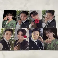 SEVENTEEN ジョシュア 来場者限定 15枚セット日本限定 STF消費期限