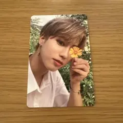Stray Kids スキズ NOEASY ハン トレカ