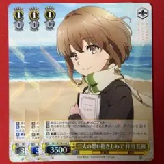 HoneyWorks ヴァイスシュヴァルツブラウ 明智咲 芹沢千秋 芹沢春輝