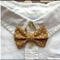 蝶ネクタイ　水玉　マスタード　平ゴム