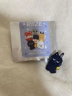 RIIZE RANDOM CHARACTER BADGE ピンバッジ ウォンビン