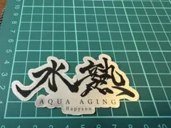 Item thumbnail for item ee2dd345-341c-4f9b-acaa-a41fea28ed29