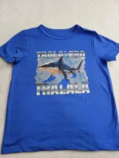 ③ブレインロッド 半袖Tシャツ ロンＴと重ね着にも◎