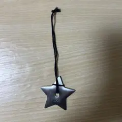 ディオール　DIOR スターキーホルダー　チャーム　非売品
