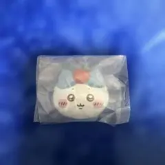 ハチワレ　hm